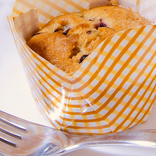 a homemade blueberry muffin